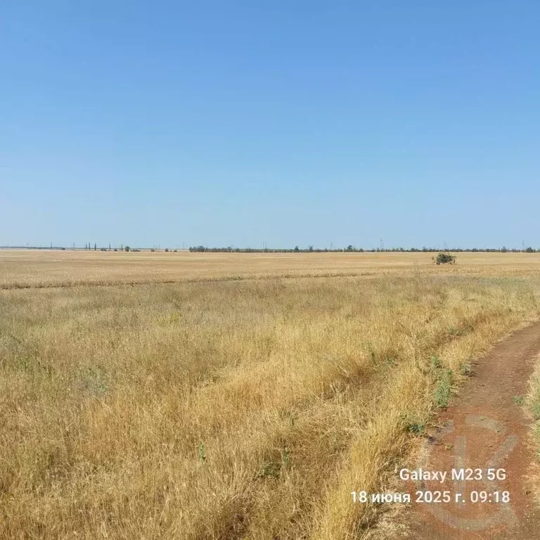 Участок в Крым, Черноморский район, с. Новоивановка  (6.24 сот.) - Фото 0