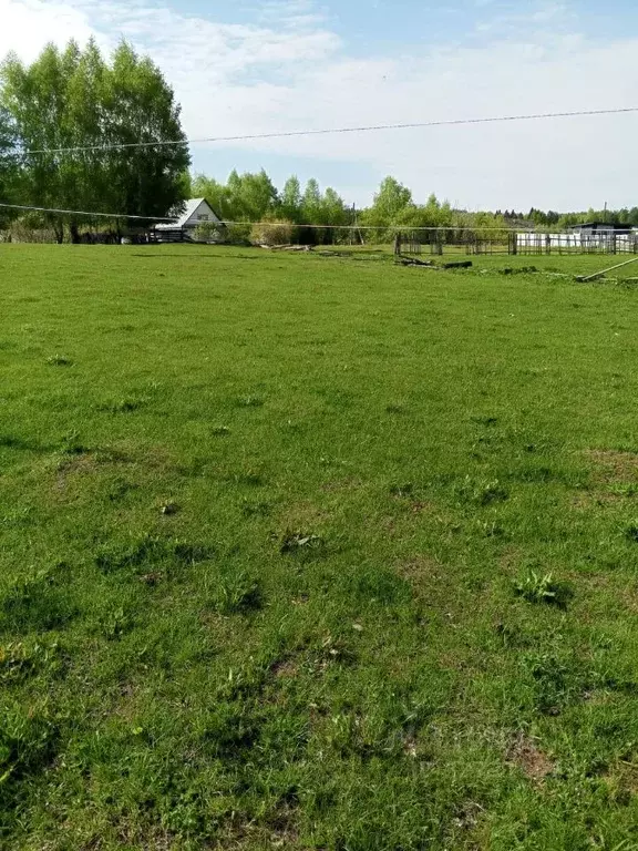 Участок в Марий Эл, Звениговский район, Кокшамарское с/пос, д. ... - Фото 2