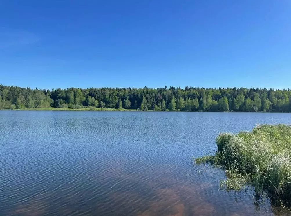 Участок в Московская область, Сергиево-Посадский городской округ, д. ... - Фото 0