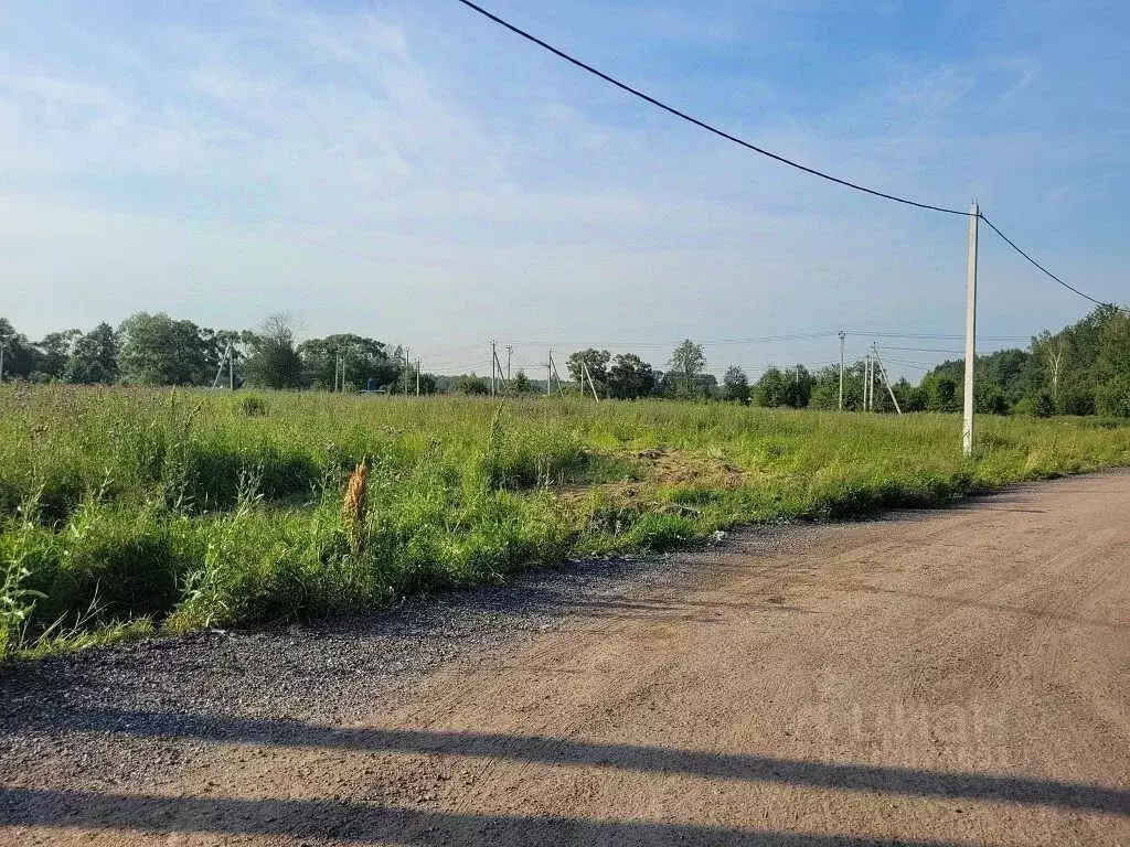 Участок в Ленинградская область, Ломоносовский район, Горбунковское ... - Фото 1