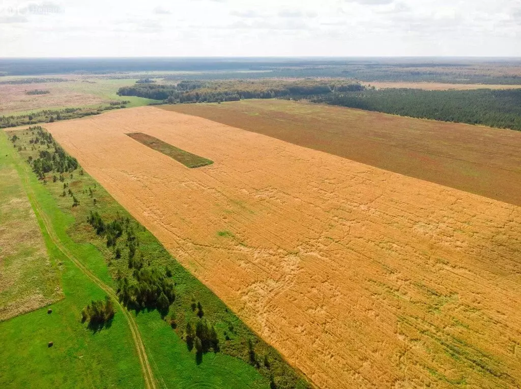 Участок в Каслинский район, село Огневское (25 м) - Фото 1