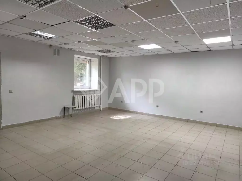 Помещение свободного назначения в Удмуртия, Ижевск Пушкинская ул., 169 ... - Фото 1