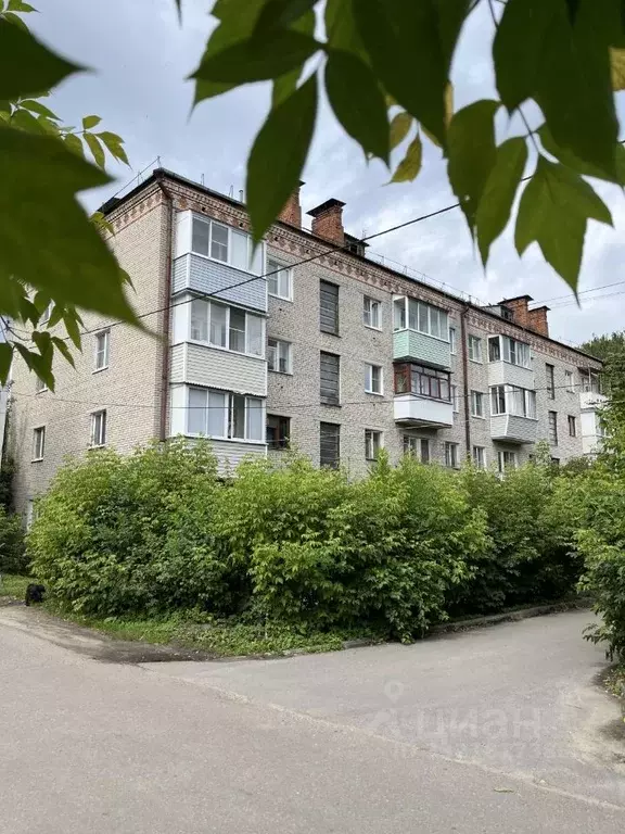 2-к кв. Московская область, Ногинск Богородский городской округ, ул. ... - Фото 2