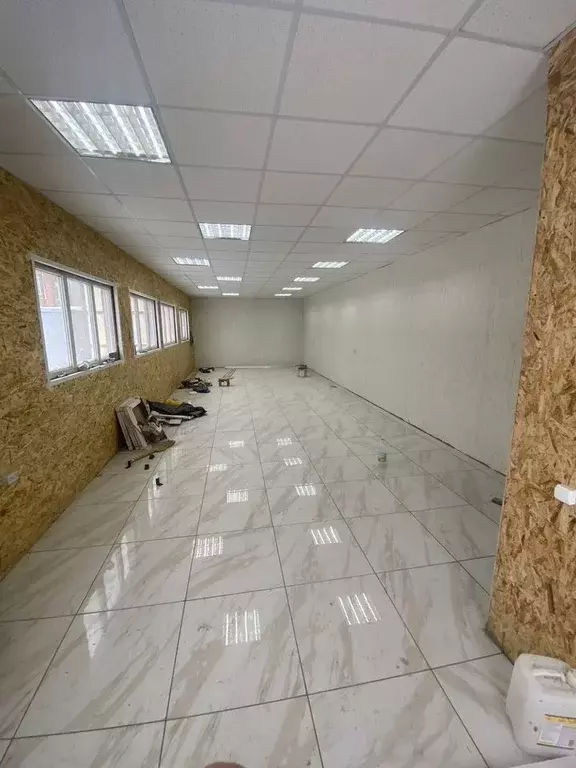 Помещение свободного назначения в Новосибирская область, Новосибирск ... - Фото 1