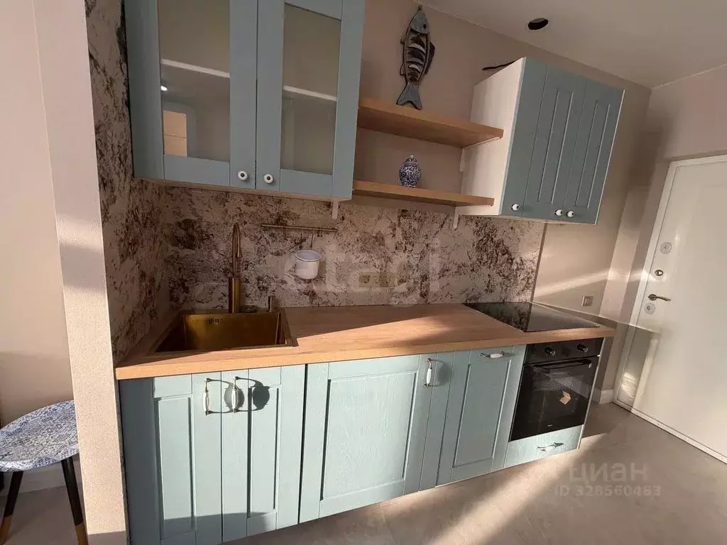 Студия Москва просп. Прокшинский, 12 (25.0 м) - Фото 2