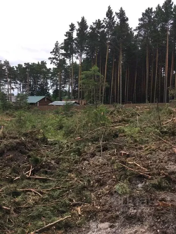 Участок в Томская область, Шегарский район, д. Кулманы  (14.0 сот.) - Фото 0