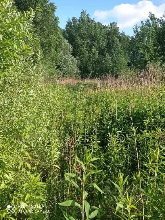 Участок в Калининградская область, Светловский городской округ, пос. ... - Фото 1