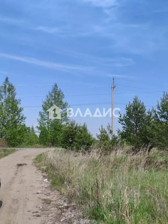 Участок в Иркутская область, Шелеховский район, Баклашинское ... - Фото 2