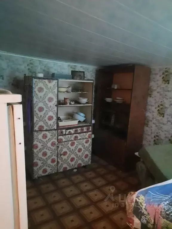 Дом в Оренбургская область, Орск городской округ, с. Ударник ул. ... - Фото 1