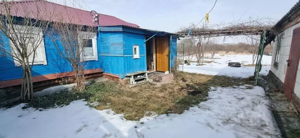 Дом в Курская область, Курский район, Камышинский сельсовет, д. ... - Фото 0