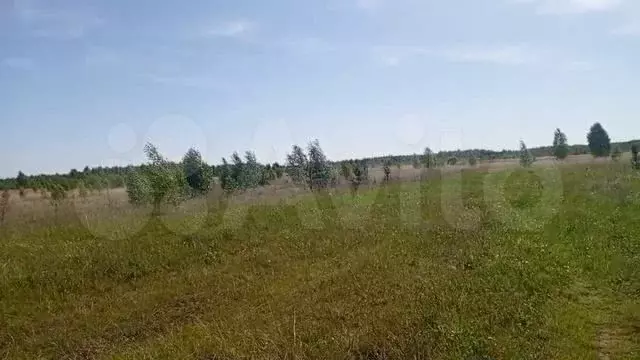 Участок 318,28 га (СНТ, ДНП) - Фото 1
