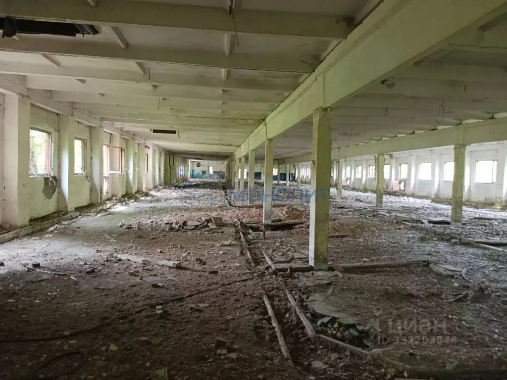 Производственное помещение в Нижегородская область, Городецкий ... - Фото 1
