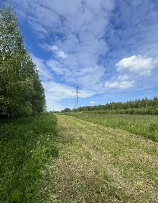 Участок в Московская область, Пущино Серпухов городской округ, ... - Фото 1