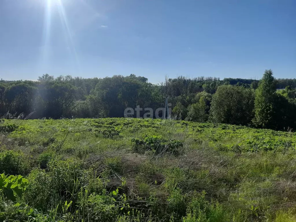 Участок в Тульская область, Тула муниципальное образование, д. Волоть  ... - Фото 0