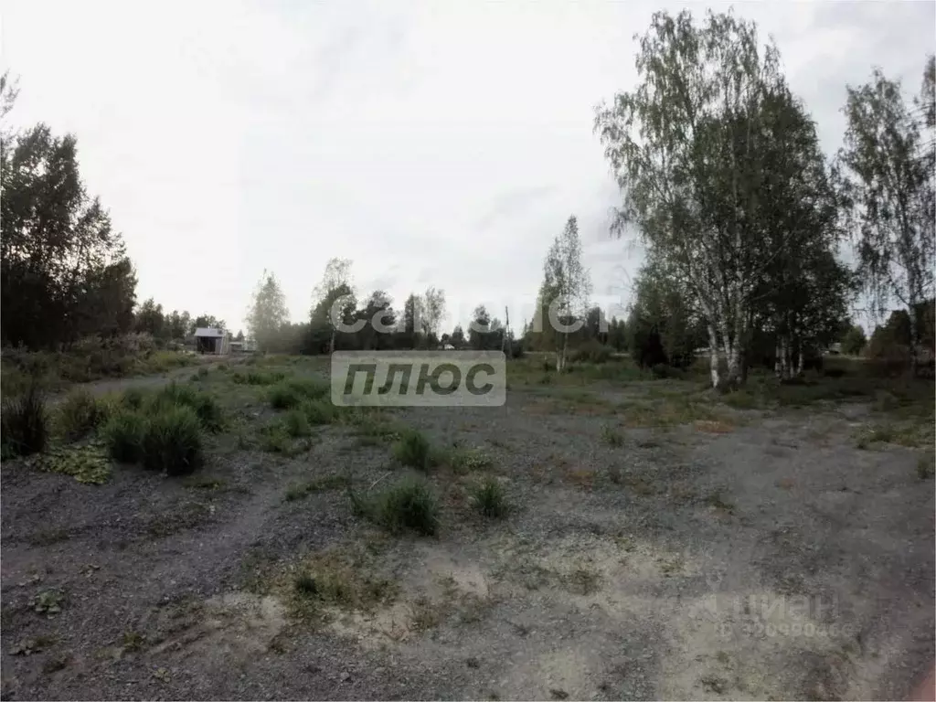 Участок в Карелия, Пряжинский район, пос. Чална Шоссейная ул., 38 ... - Фото 2