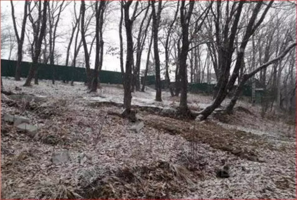 Участок в Приморский край, Владивосток Васильковая ул. (6.0 сот.) - Фото 0