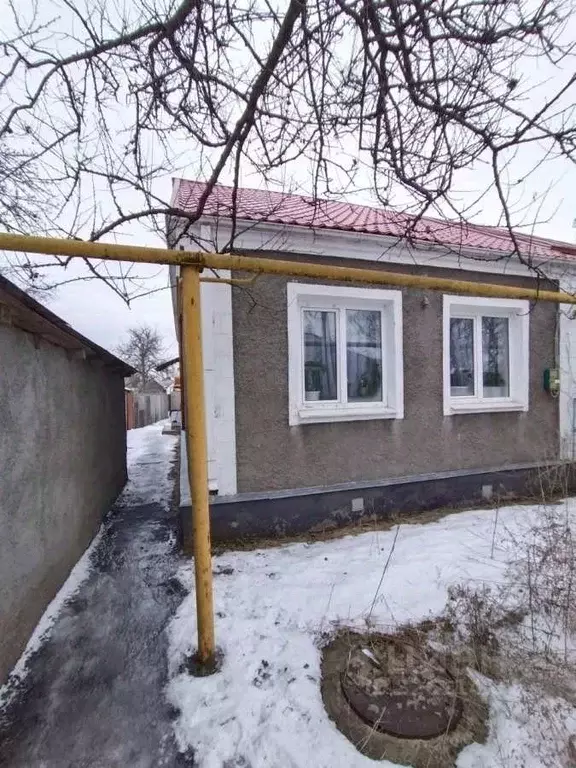 Дом в Воронежская область, Новоусманский район, пос. Отрадное ул. ... - Фото 1