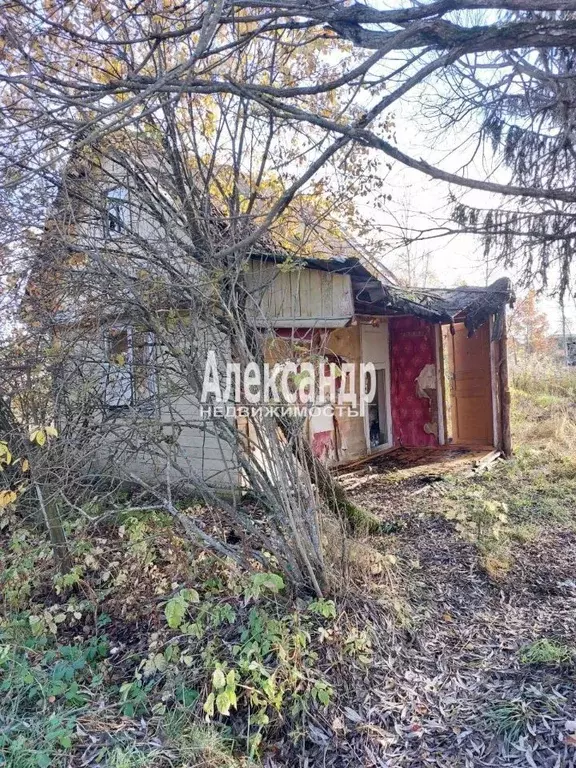 Участок в Ленинградская область, Киришский район, Кусинское с/пос, ... - Фото 1