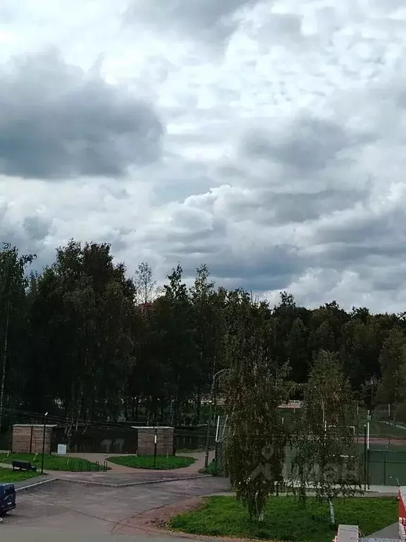 2-к кв. Ленинградская область, Ломоносовский район, Лебяженское ... - Фото 2