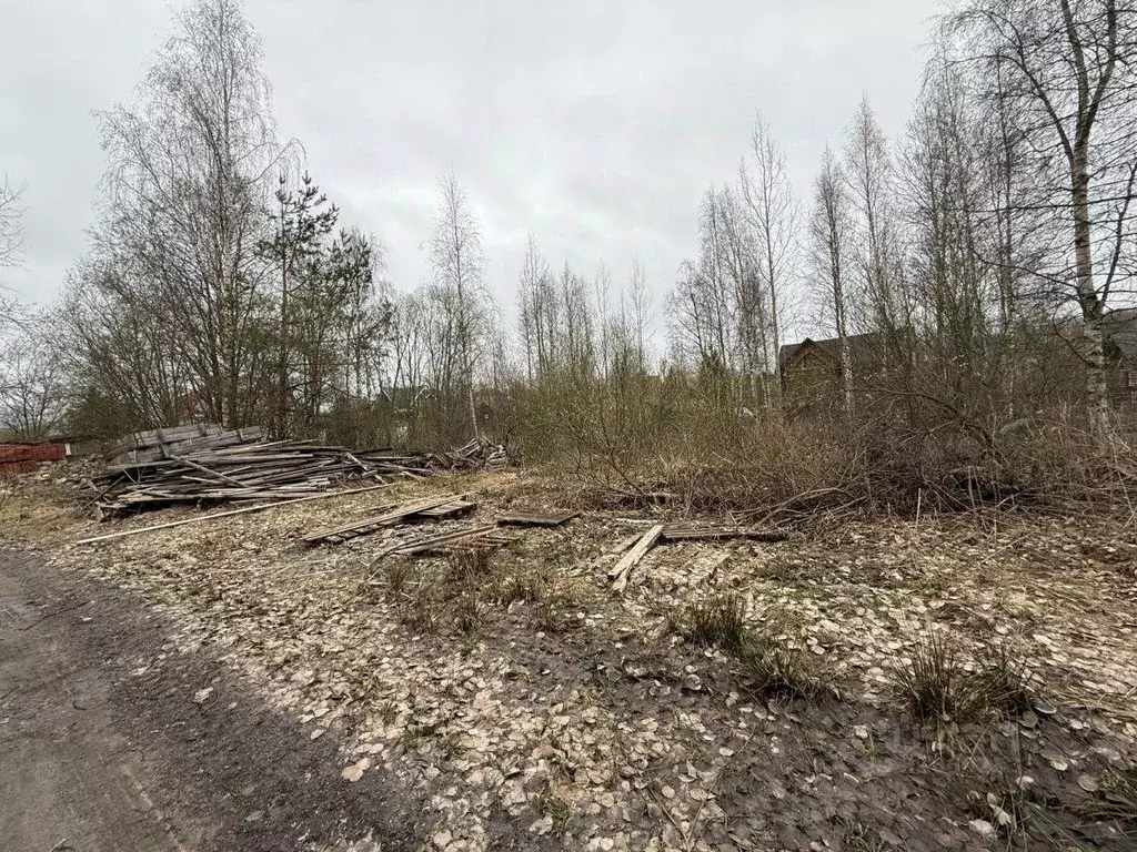Участок, 12 сот., поселения (ижс) - Фото 0