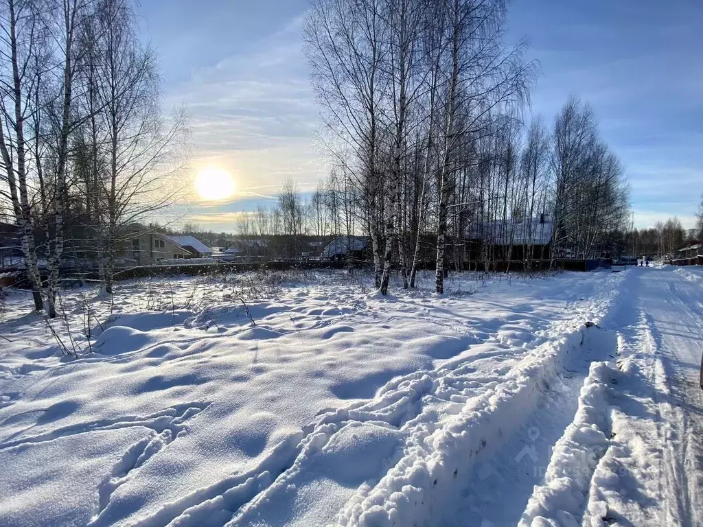 Участок в Московская область, Истра муниципальный округ, д. Шишаиха  ... - Фото 1