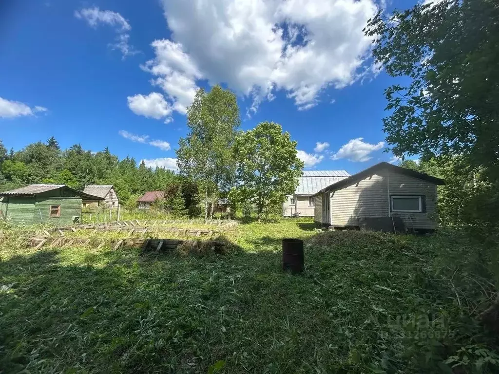 Участок в Москва Полесье-2 садовое товарищество, 108 (6.0 сот.) - Фото 1