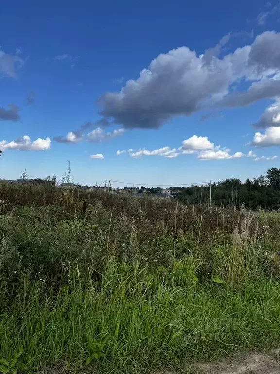 Участок в Ленинградская область, Всеволожский район, Романовское ... - Фото 1