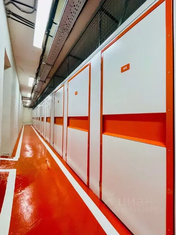 Помещение свободного назначения в Москва Гжатская ул., 4К1 (245 м) - Фото 2