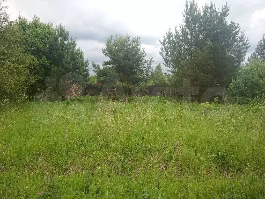 Участок 10 сот. (СНТ, ДНП) - Фото 0