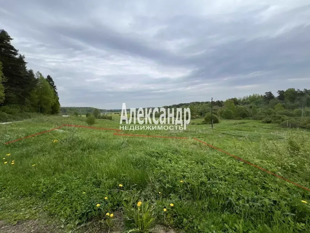 Участок в Карелия, Лахденпохский муниципальный округ, пос. Терву ул. ... - Фото 2