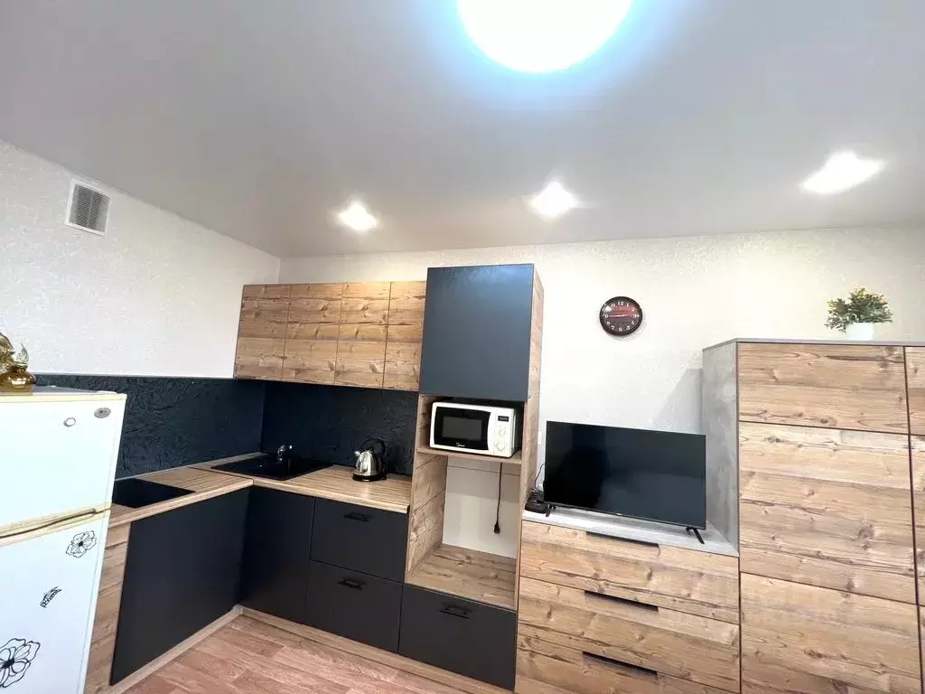 Студия Новосибирская область, Новосибирск ул. Забалуева, 102 (24.0 м) - Фото 1