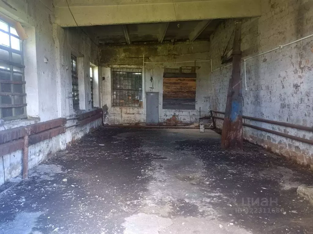 Помещение свободного назначения в Курганская область, Варгашинский ... - Фото 2