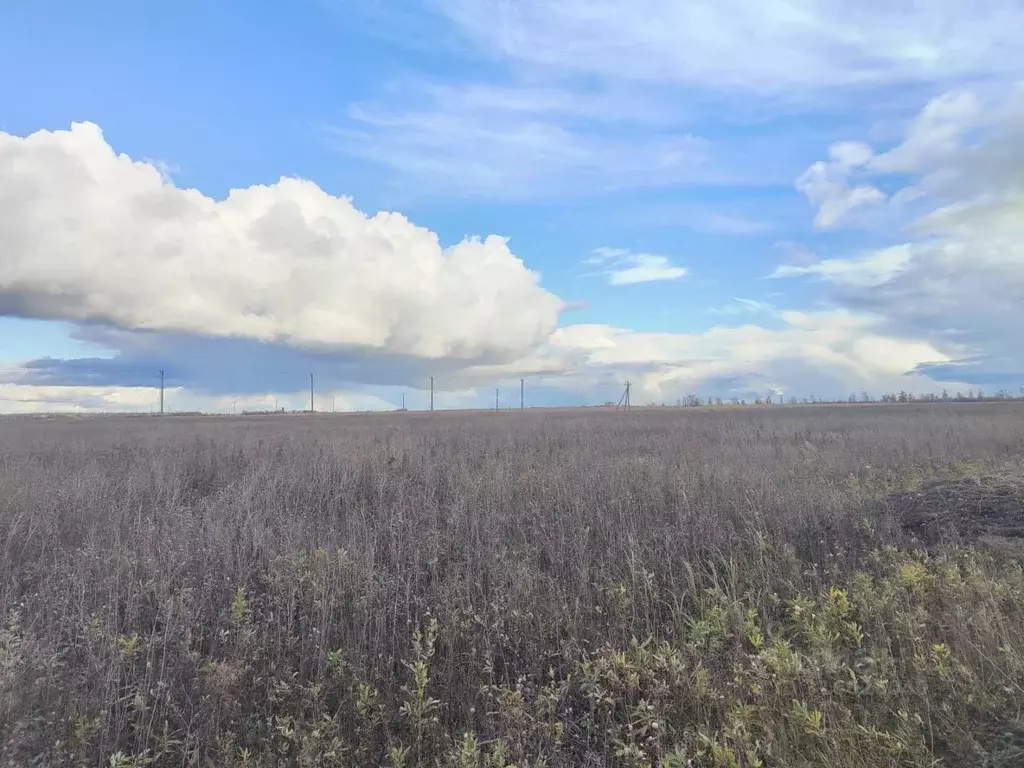 Участок в Тамбовская область, Тамбов ул. Имени Константина Малофеева, ... - Фото 1