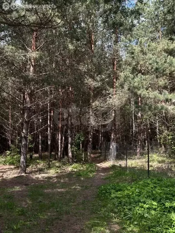 Участок в городской округ Калуга, деревня Крутицы, 3-й Лесной проезд ... - Фото 1