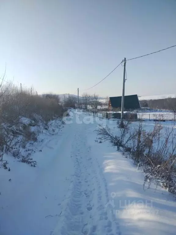 Участок в Алтайский край, Белокуриха ул. Бажова (14.3 сот.) - Фото 0