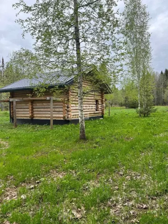 Участок в Пермский край, Луговой кв-л ул. Цветочная, 8 (17.0 сот.) - Фото 0
