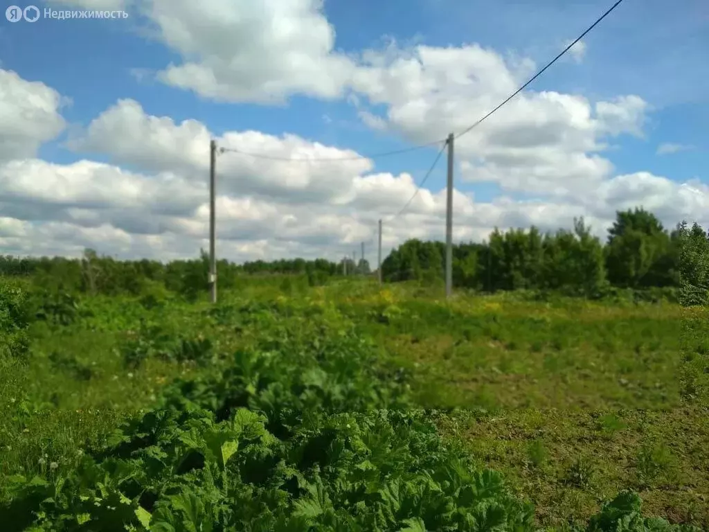 Участок в Волосовский район, Рабитицкое сельское поселение, деревня ... - Фото 2