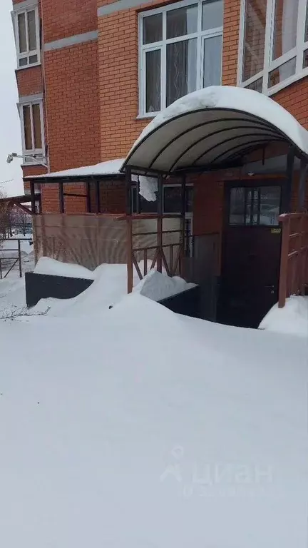 Помещение свободного назначения в Новосибирская область, Новосибирск ... - Фото 1