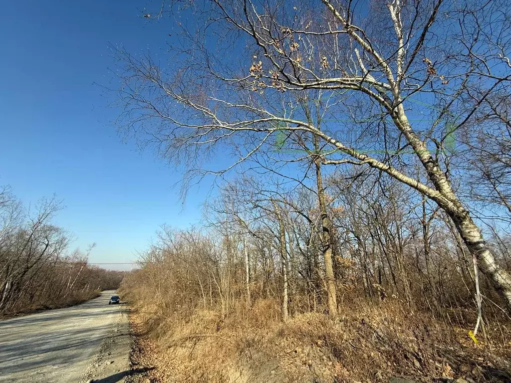 Участок в Приморский край, Артем Глобус-1 СТ,  (10.0 сот.) - Фото 1