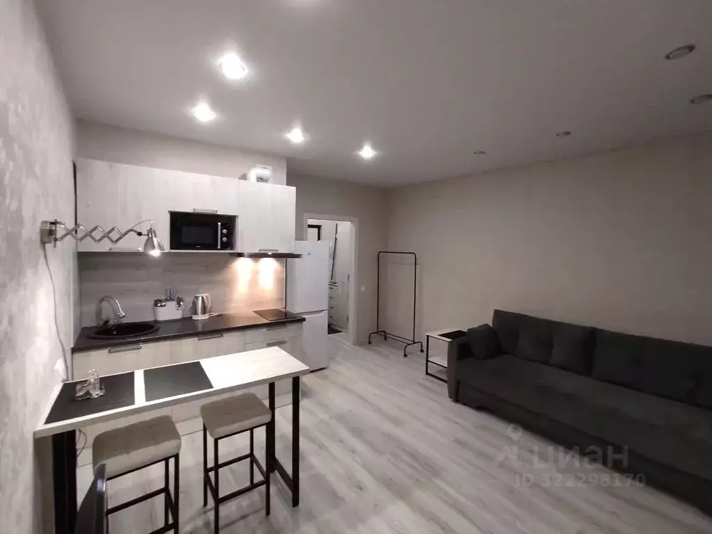 Студия Псковская область, Псковский район, Завеличенская волость, д. ... - Фото 0