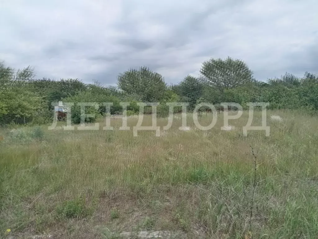 Участок в Ростовская область, Октябрьский район, пос. Персиановский, ... - Фото 2