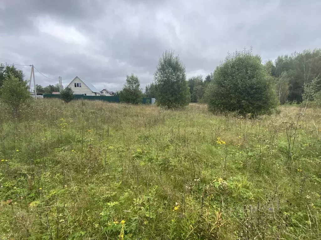 Участок в Московская область, Истра муниципальный округ, д. Родионцево ... - Фото 1