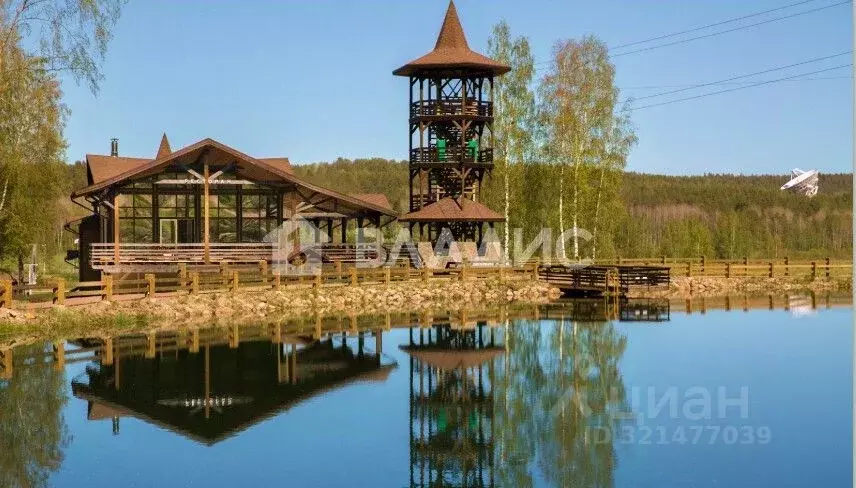 Участок в Ленинградская область, Приозерский район, Красноозерное ... - Фото 2