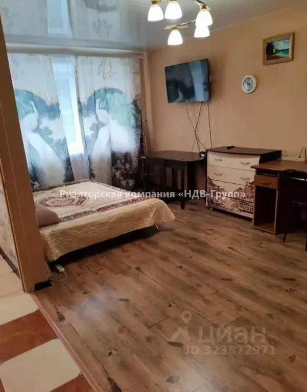 1-к кв. Хабаровский край, Хабаровск ул. Олега Кошевого, 7 (30.0 м) - Фото 2