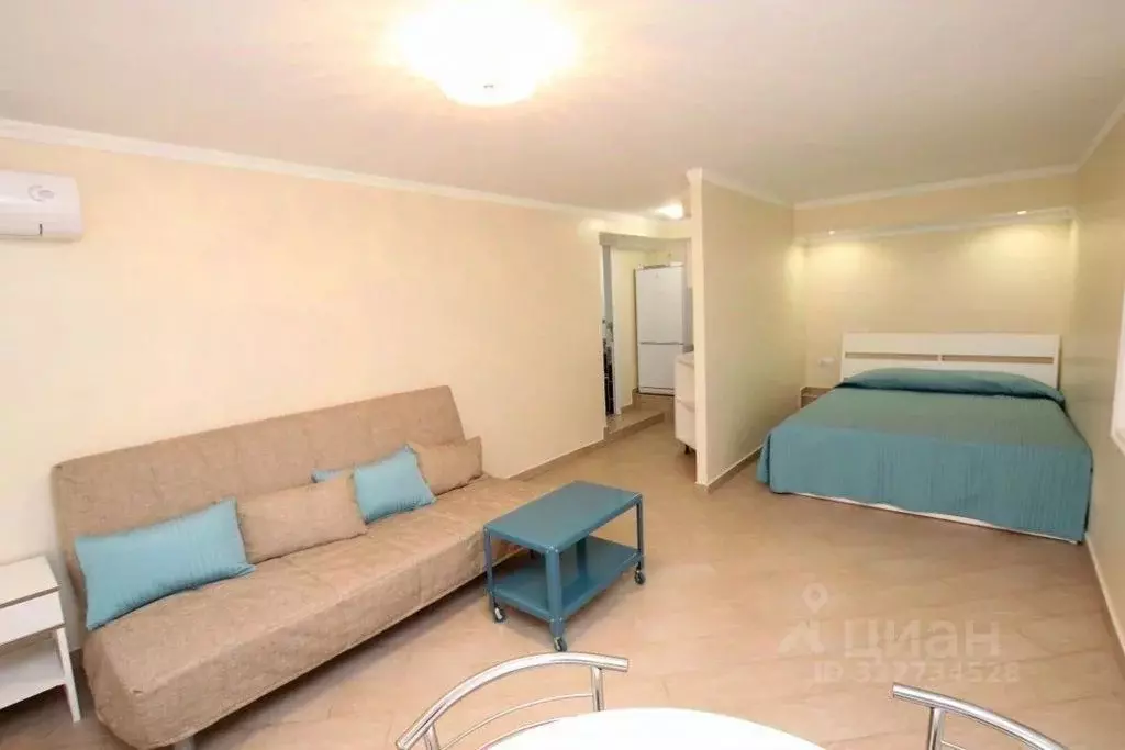 1-к кв. Крым, Феодосия наб. Черноморская, 1В (27.0 м) - Фото 1