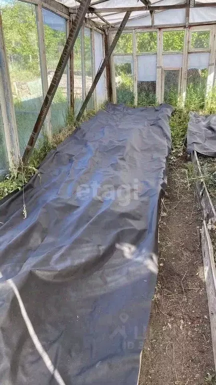 Участок в Калининградская область, Гурьевский муниципальный округ, ... - Фото 2