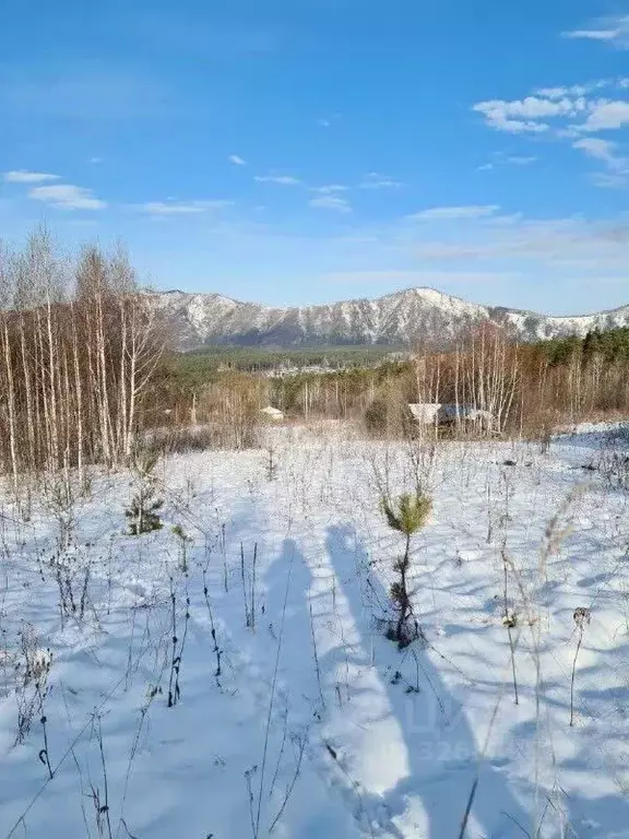 Участок в Алтай, Майминский район, Манжерокское с/пос, с. Озерное ул. ... - Фото 1