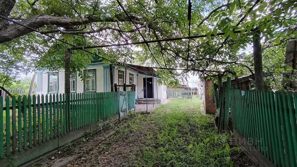 Дом в Ростовская область, Матвеево-Курганский район, с. Новониколаевка ... - Фото 0