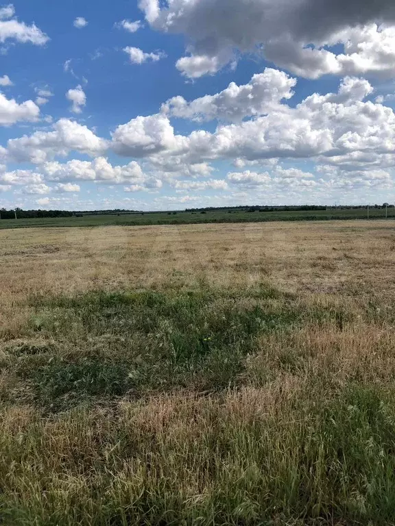 Участок 6 сот. (ИЖС) - Фото 1