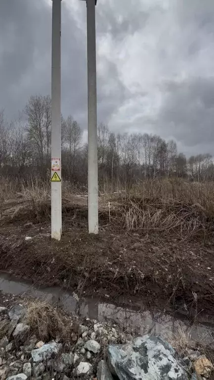 Участок в Свердловская область, Верхняя Пышма городской округ, пос. ... - Фото 1